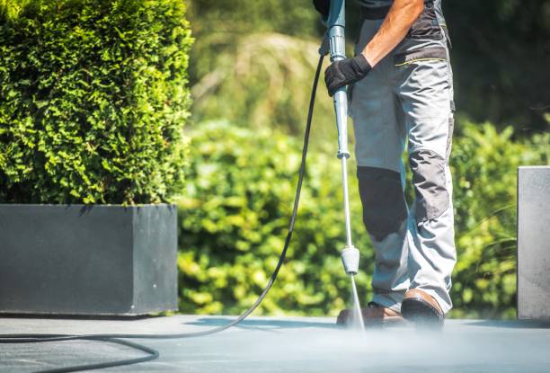 Trusted Hollins, VA Pressure Washing Services Experts